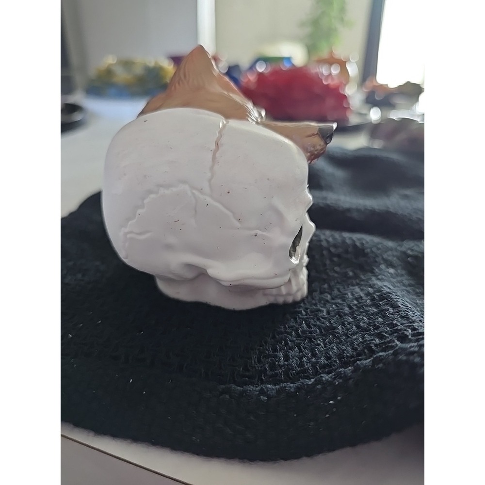 Handmade Wolf On Skull Decoration Gift Brown White. 599 - Picture 3 of 5